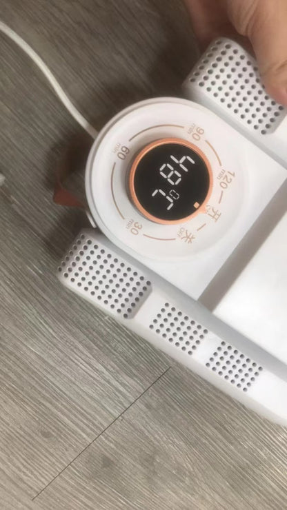 Electric Shoe Dryer